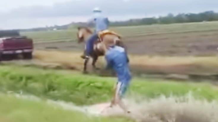 Pulled By His Horse, Man Wakeboards In Ditch | Country Music Videos