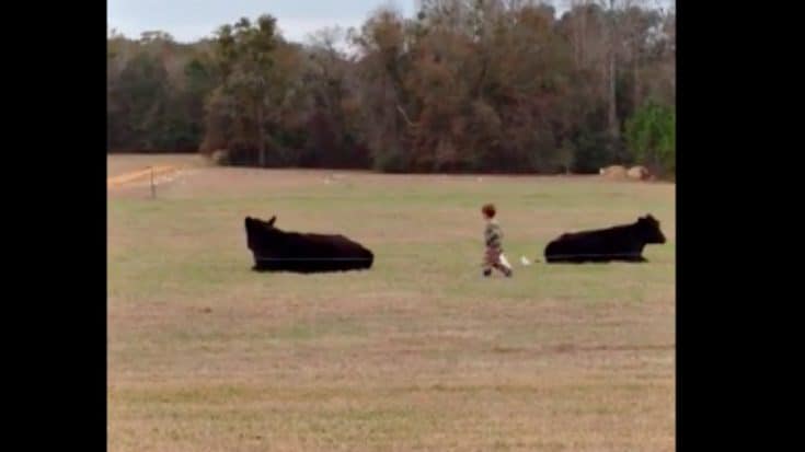 Dad Bets 4-Year Old Son $20 To Jump On Steer’s Back & Ride It | Country Music Videos