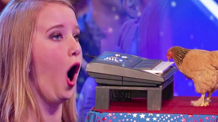 Audience Boos Weird Act…But Then A Chicken Starts Playing The Piano? Hysterical | Country Music Videos