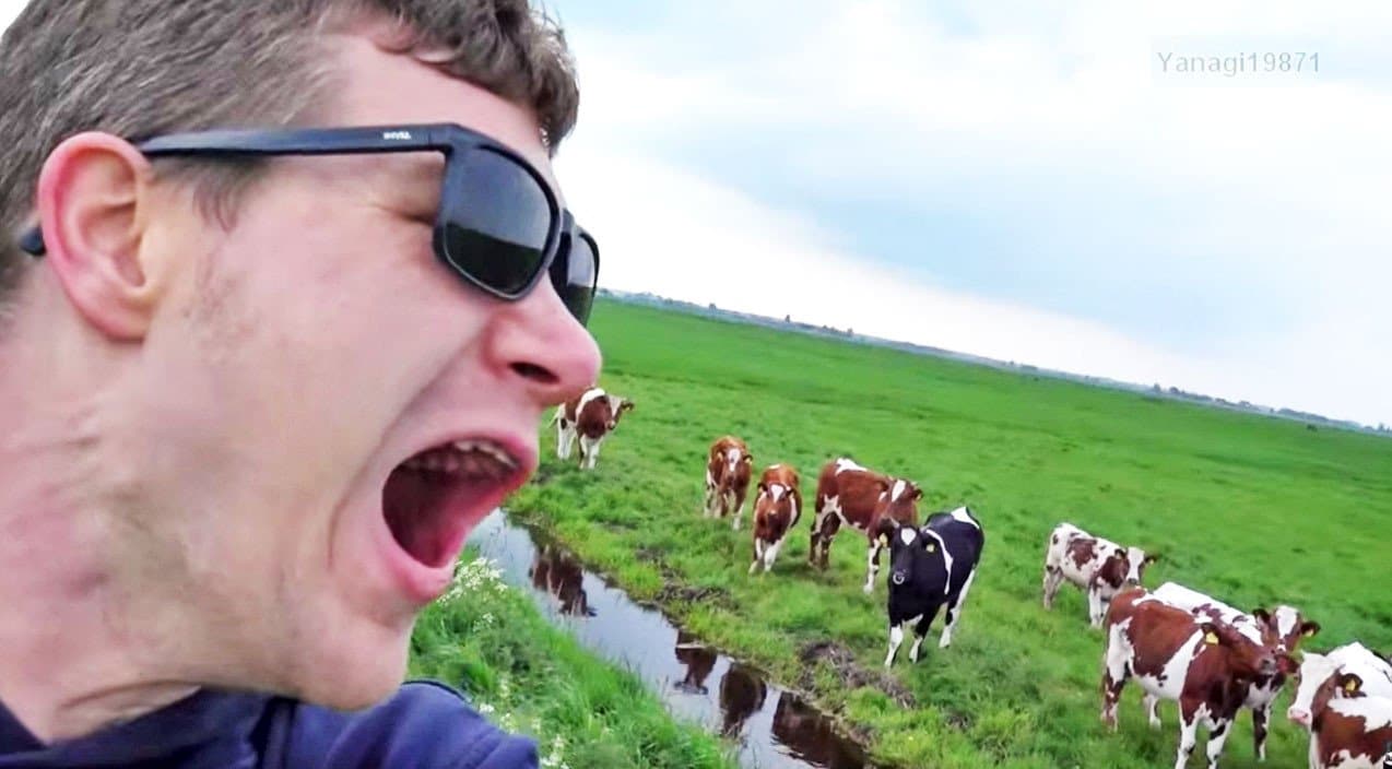 Bizarre Man Finds Out He Can Herd Cows…Just By Burping | Country Music Videos
