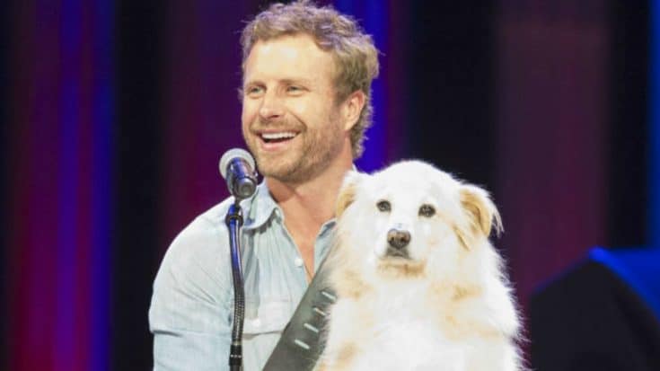Dierks Bentley Mourns Loss Of Beloved Companion | Country Music Videos