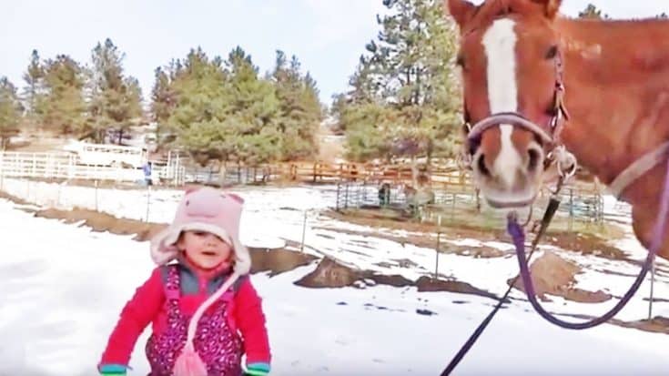 2-Year-Old Emma & Massive Horse Are Best Friends?! This is ADORABLE! | Country Music Videos