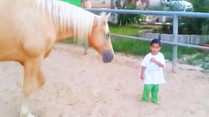 Video: 4-Year-Old Boy With Williams Syndrome Meets Therapy Horse For The First Time | Country Music Videos