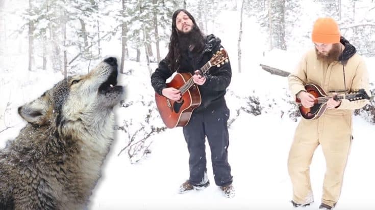 Wolves Provide Backup Vocals During Rocky Mountain Folk Duet | Country Music Videos