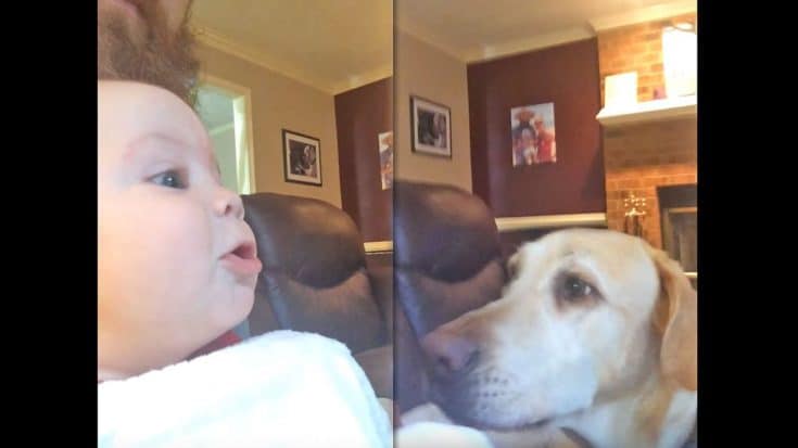 ADORABLE ALERT: 5 Month Old Baby Challenges Family Dogs To Howling Competition | Country Music Videos