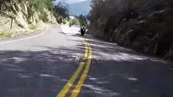 Motorcyclist’s Camera Captures Friend Miraculously Surviving Horrifying Crash | Country Music Videos