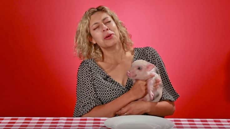 When A Bacon Lover Meets A Piglet, The Reaction Is PRICELESS | Country Music Videos