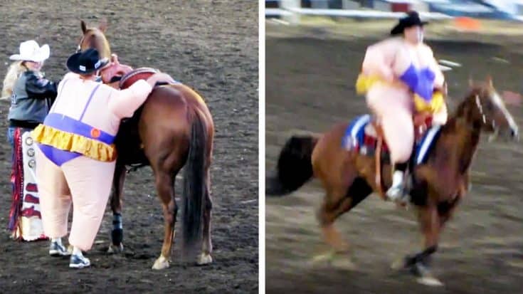 Rodeo Clown In Inflatable Suit Borrows Rodeo Queen’s Horse | Country Music Videos