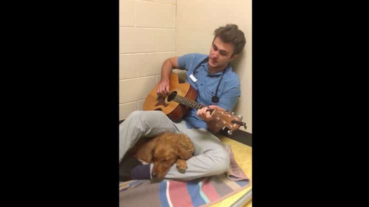 Veterinarian Sings Elvis Tune To Calm Scared Dog Before Surgery | Country Music Videos
