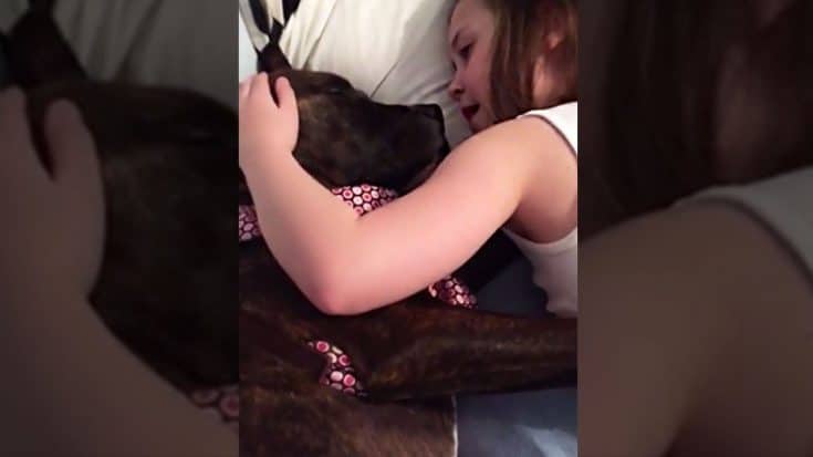 Little Girl Preciously Singing To Foster Dog Will Melt Your Heart | Country Music Videos