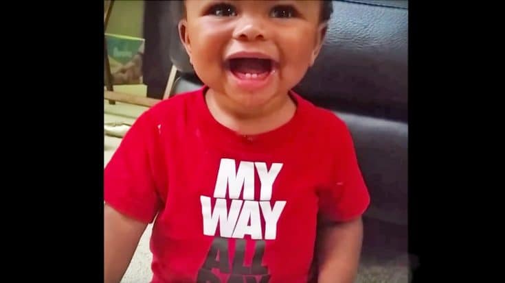 Toddler’s Hysterical Reaction To A Barnyard Animal Will Have You Laughing Out Loud! | Country Music Videos