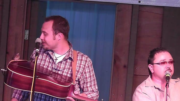 Bird Crashes Bluegrass Band’s Performance & Lead Singer Handles It Like A Champ | Country Music Videos