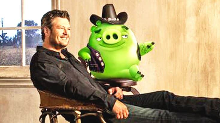 Blake Shelton Charms With Catchy Country Tune From The ‘Angry Birds’ Soundtrack | Country Music Videos