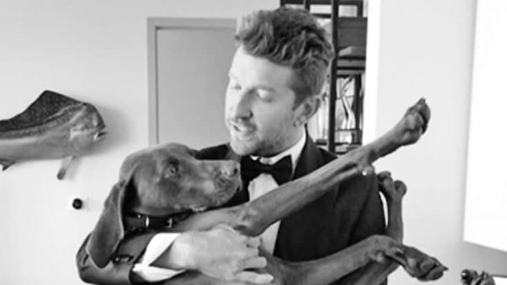 Brett Eldredge Serenading His Pup With A Frank Sinatra Classic Will Completely  Melt Your Heart | Country Music Videos