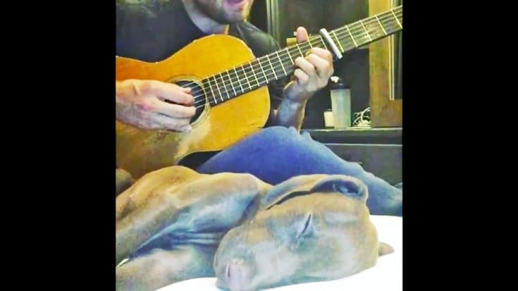 Country Heartthrob Serenades His Puppy To Sleep With ‘Make You Feel My Love’ And It’s Adorable | Country Music Videos