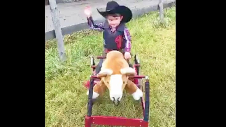 This Little Cowboy Tries To Climb Onto Toy Bull. What Happens Next? I Can’t Stop Smiling! | Country Music Videos