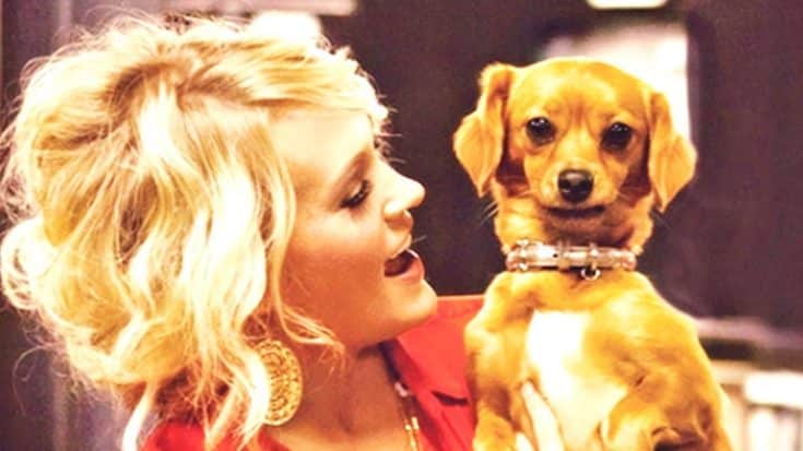 Carrie Underwood Attempts To Prove Her Adorable Rescue Dog Is ‘Naughty’ | Country Music Videos
