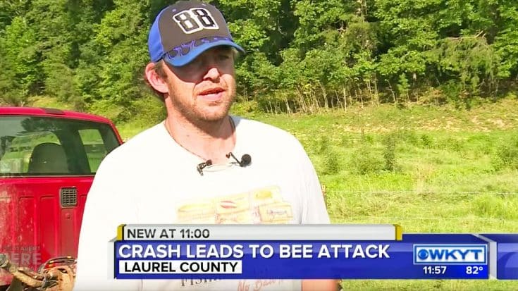 Local Farmer’s Hysterical Interview On Bee Attack Is As Country As It Gets | Country Music Videos