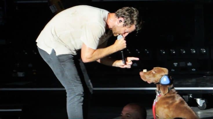 Country Star’s Dog Steals The Show With Epic Concert Trick | Country Music Videos
