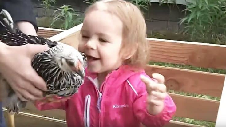 Kids Reacting To Meeting Chickens Is Just The Laugh You Need | Country Music Videos