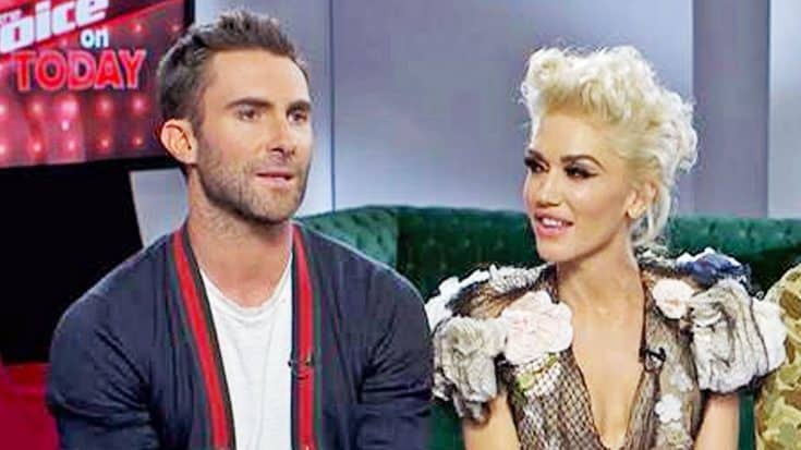 Gwen Stefani Gives Adam Levine A Piece Of Her Mind For Wanting To Punch Blake Shelton | Country Music Videos
