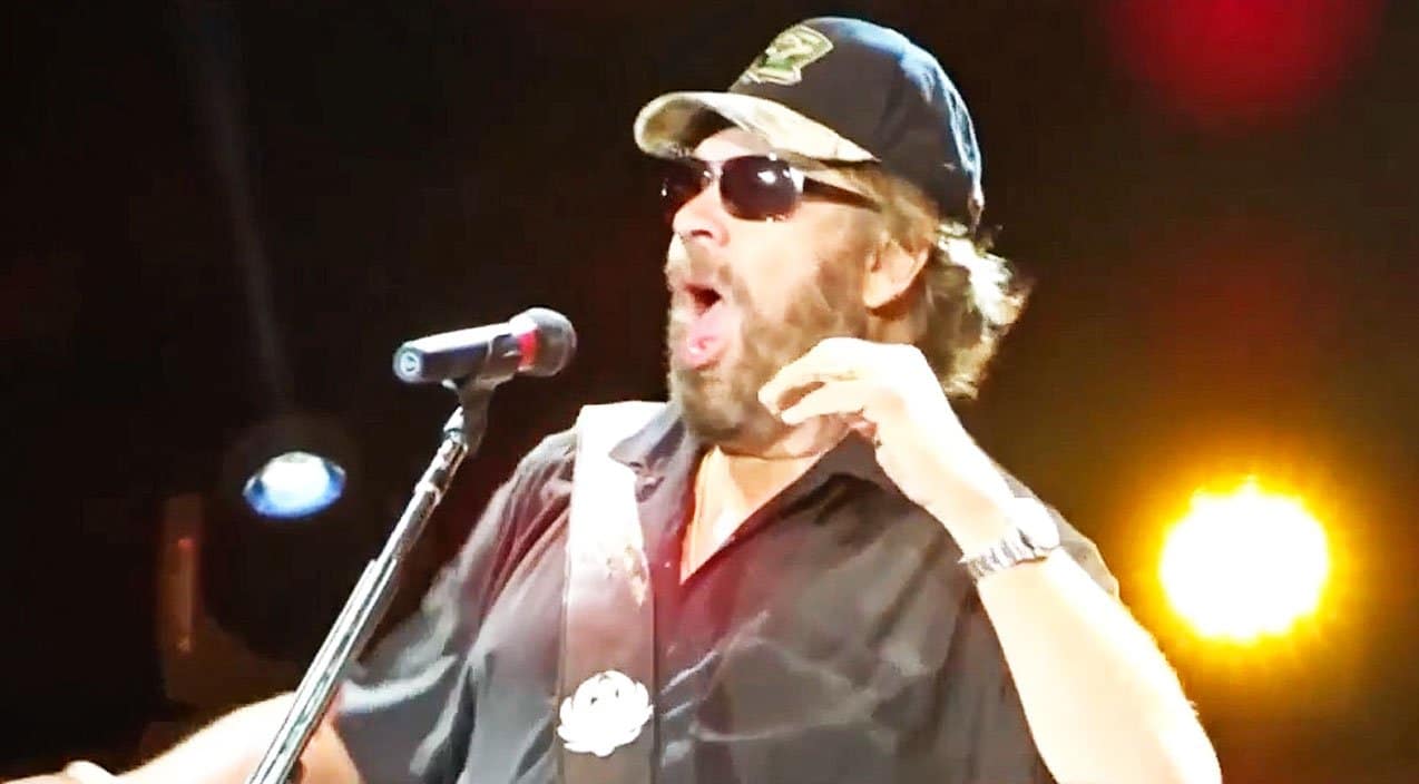 Lynyrd Skynyrd & ZZ Top Earn Animated Tribute From Hank Jr. That You Have To See This Instant | Country Music Videos