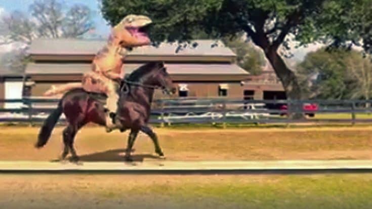 Man In A T-Rex Costume Gets On A Horse, What Happens Next is UNBELIEVABLE! | Country Music Videos