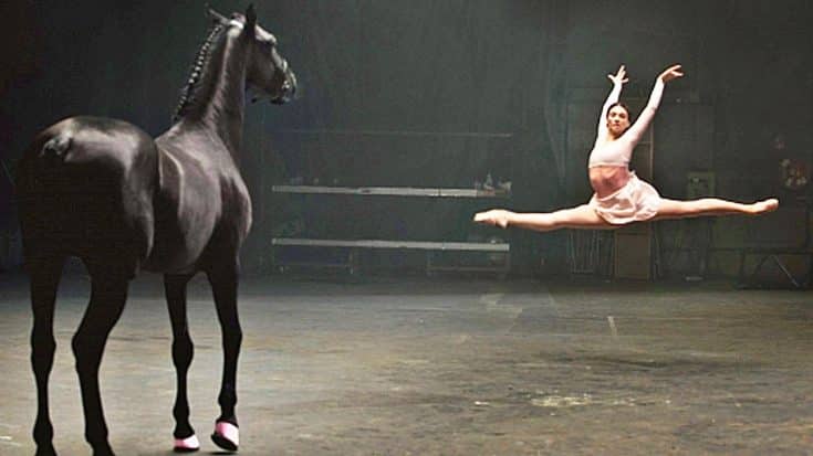 Majestic Horse Shows Off Mind-Blowing Moves In Dance-Off With Ballerina | Country Music Videos
