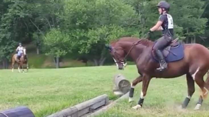 Horse’s Hysterical Attempt At Jumping Over An Obstacle Will Leave You In Stitches | Country Music Videos