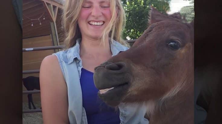 Baby Horse Smiling During Back Scratch Is The Cutest Thing You’ll See | Country Music Videos