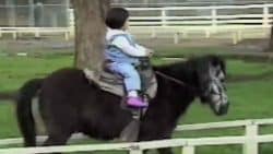 Tiny Girl Rides A Pony…But When The Pony Gets An Itch? I’M ROLLING!!! | Country Music Videos