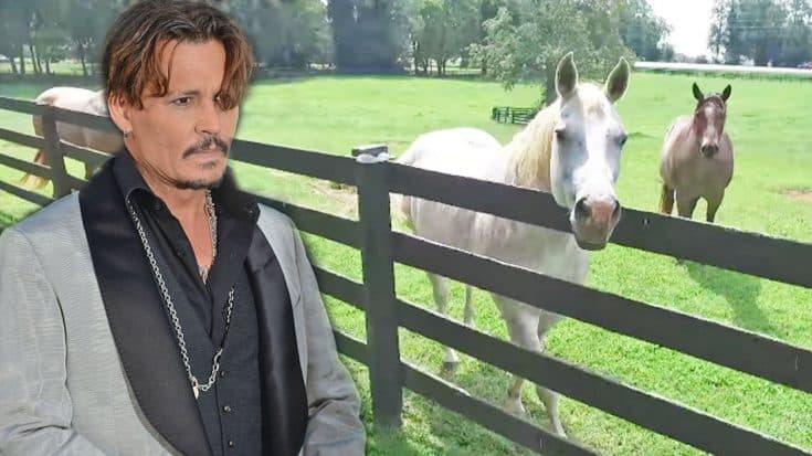 Johnny Depp’s Horse Farm On Auction Block For Mind-Boggling Price | Country Music Videos