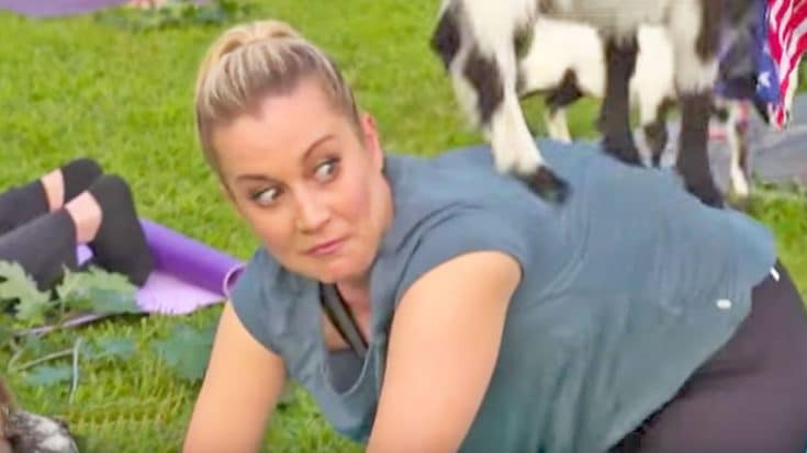 Kellie Pickler Screams When A Goat Jumps On Her Back During Yoga | Country Music Videos