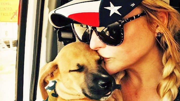 Here’s An Update On How Many Pets Miranda Lambert’s MuttNation Has Saved In Houston | Country Music Videos