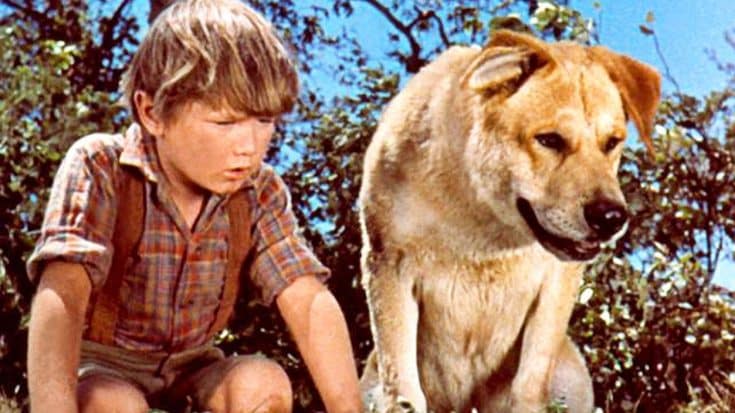 BREAKING: At 66, ‘Old Yeller’ Actor Kevin Corcoran Has Passed Away | Country Music Videos