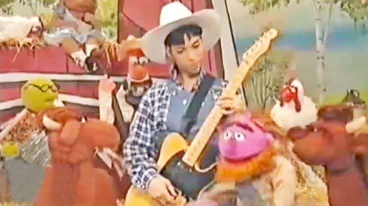 Prince Sings For The Muppets In “Hee Haw” Parody From 1997 | Country Music Videos