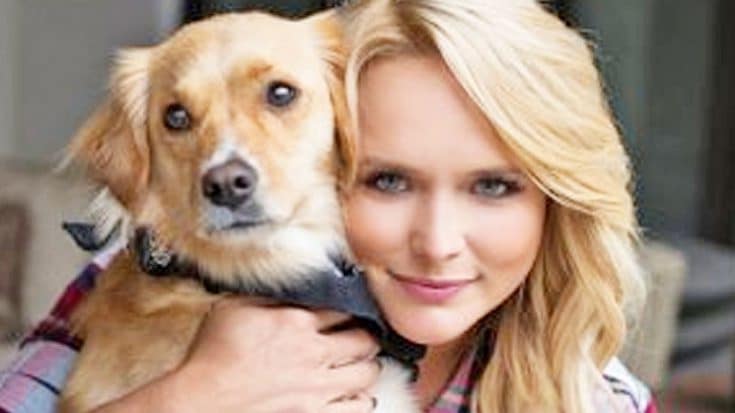 Miranda Lambert’s Next Business Venture Will PAWS-ibly Break Your Bank | Country Music Videos