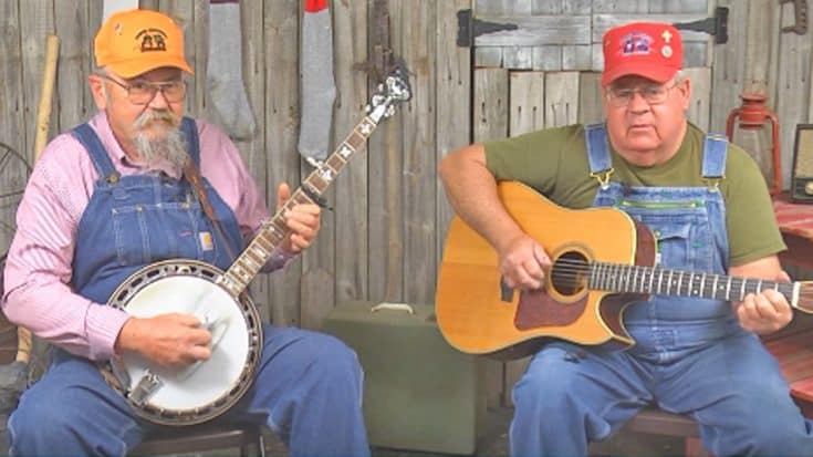 Hillbilly Brothers Sing Song About A Rooster Who Saved The Day | Country Music Videos