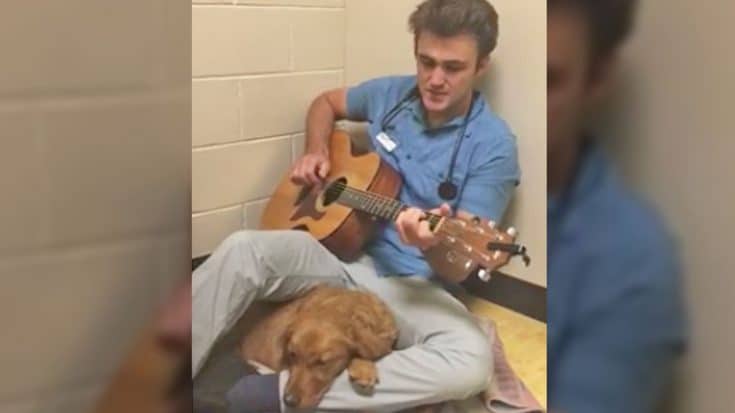 Veterinarian Sweetly Sings ‘Can’t Help Falling In Love’ To Scared Pup Before Surgery | Country Music Videos