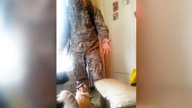 Excited Cat Yells When His Soldier Father Finally Returns Home | Country Music Videos