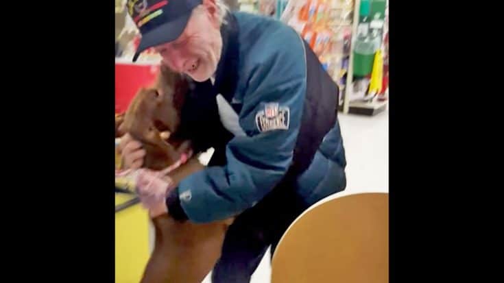 Military Veteran Bursts Into Tears After Being Reunited With Dogs | Country Music Videos