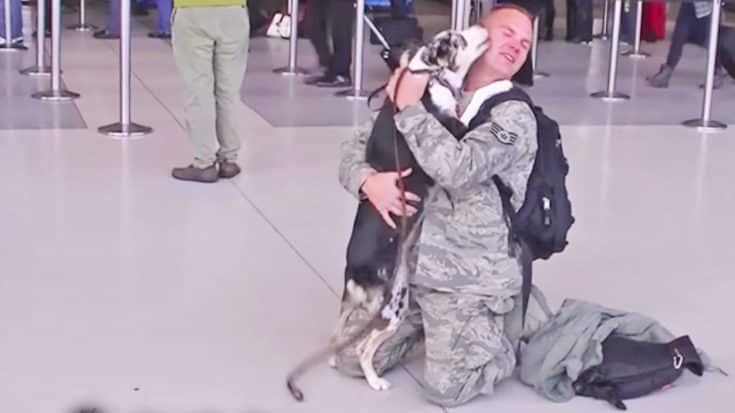 Dogs Greeting Their Heroic Best Friends Will Have You In Tears | Country Music Videos