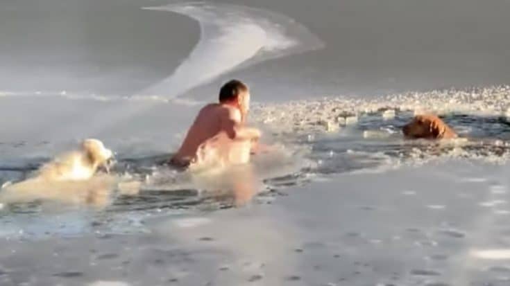 Man And Dog Break Through Icy Lake To Save Two Other Dogs | Country Music Videos