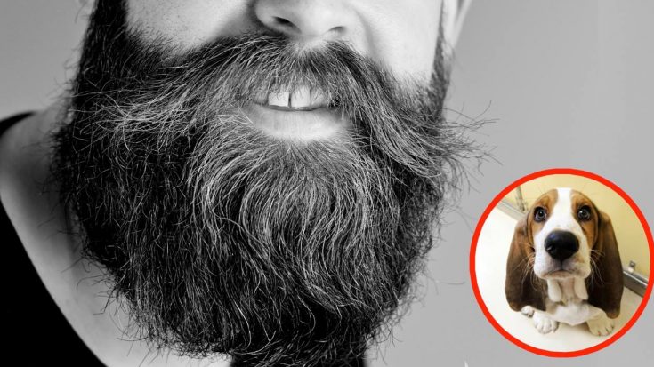 Study Shows: Men With Beards Carry More Germs Than Dogs | Country Music Videos