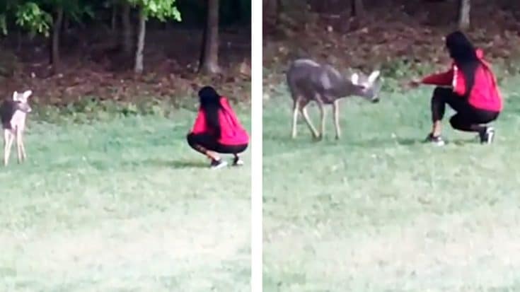 Video: Travis Tritt’s Wife Has Reunion With Deer She Raised | Country Music Videos