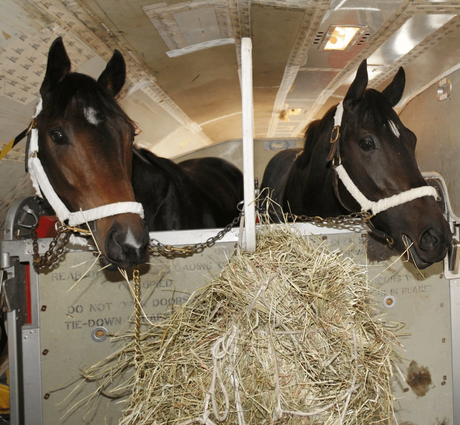 Air Horse One FirstClass Plane For Kentucky Derby Thoroughbreds