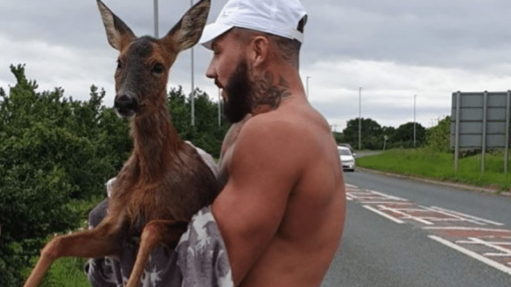 Man Strips Down To Boxers To Save Baby Deer From Drowning In Freezing Water | Country Music Videos