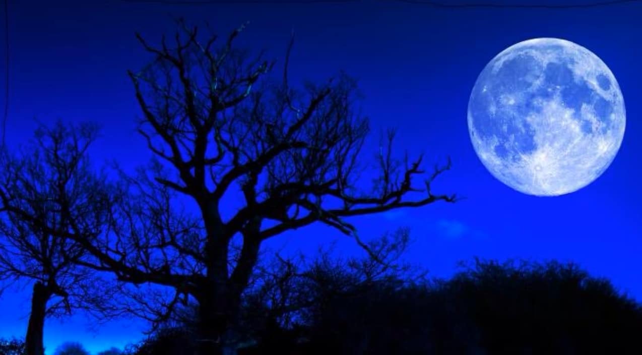 For The Last Time This Decade, A Blue Flower Moon Will Light Up The Sky | Country Music Videos