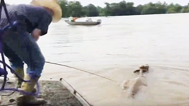 Cowboys Trade Their Horses For Boats To Rescue Cows From Flooded Pastures | Country Music Videos
