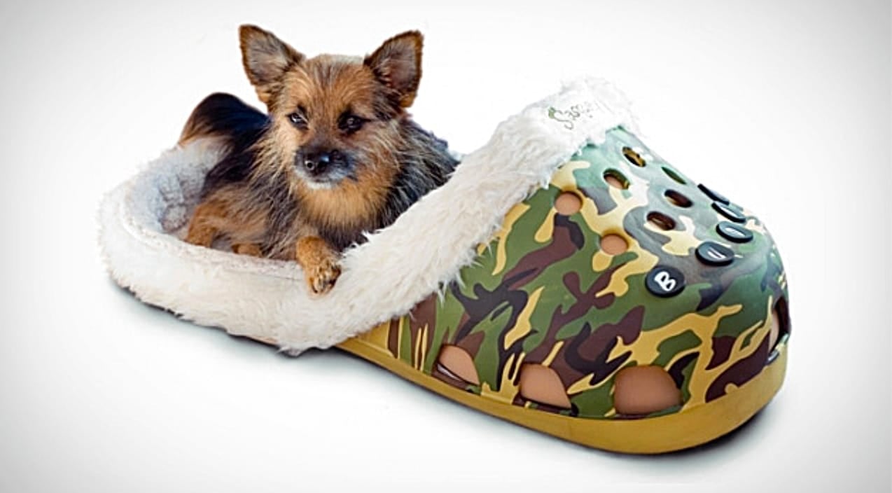 This Gigantic Croc Shoe Is The Perfect Pet Bed & Here’s Why Country Rebel